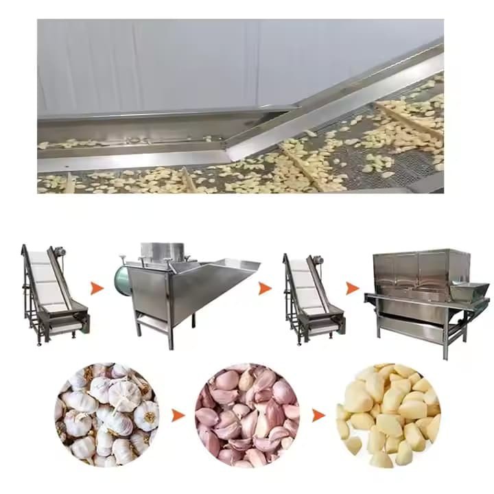 Automatic Complete Full Production Line Peeled Garlic Processing Line Garlic Clove Separating And Peeling Line