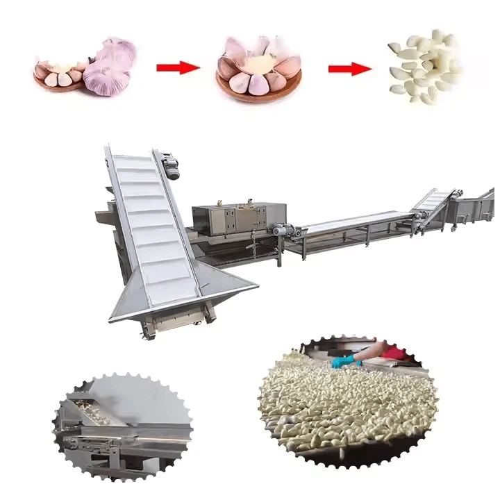Automatic Complete Full Production Line Peeled Garlic Processing Line Garlic Clove Separating And Peeling Line