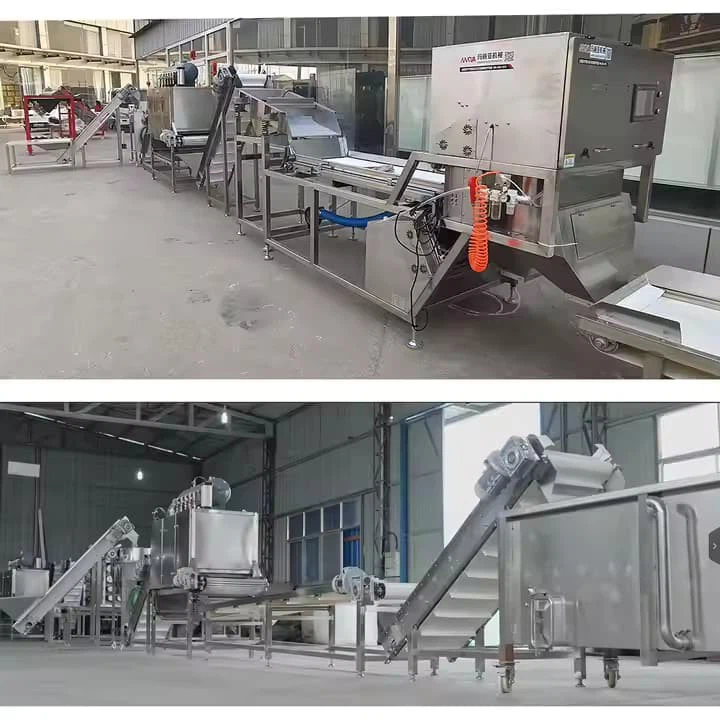 Automatic Complete Full Production Line Peeled Garlic Processing Line Garlic Clove Separating And Peeling Line