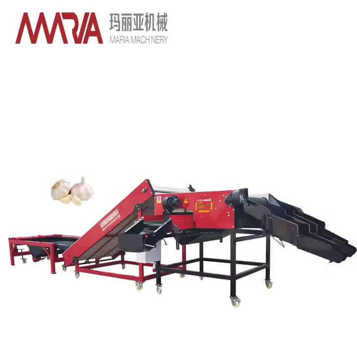 Comapany Equioment High Efficiency Garlic Sorter With Weight Grading 380V Motor ISO9001 Certified Garlic Sizingf And Sorting