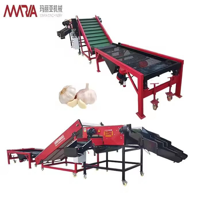 Comapany Equioment High Efficiency Garlic Sorter With Weight Grading 380V Motor ISO9001 Certified Garlic Sizingf And Sorting