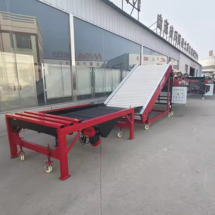 Comapany Equioment High Efficiency Garlic Sorter With Weight Grading 380V Motor ISO9001 Certified Garlic Sizingf And Sorting
