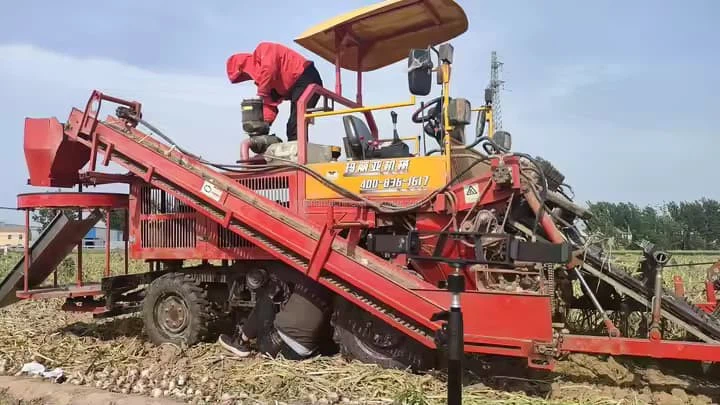 Double Rows Mini Tractor Mounted Garlic Cassava Sweet Garlic Murphy Carrot Ginger Harvester
