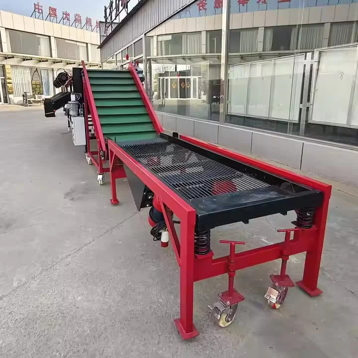 Facoty Supplier Compact Garlic Grading System 220V 380V Household Model Farm To Factory Garlic Sorting Sizer Machine