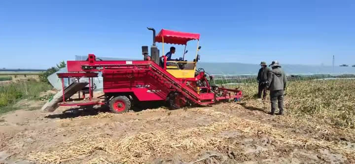 Tractor-tracted Sweet Potato Combine Harvester Garlic Carrots Harvester/potato Onion Combine Harvester